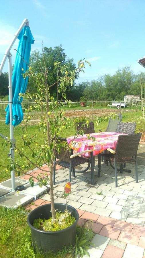 Ferienwohnung Am Verlorenen Bach Untermuhlhausen Bagian luar foto